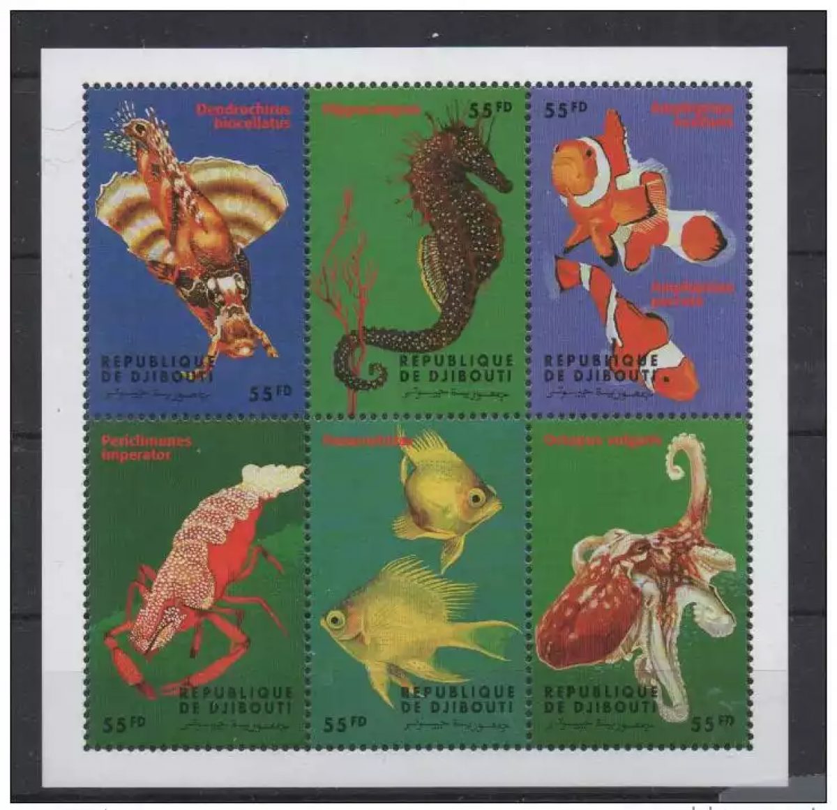 Dschibuti 2000 Souvenirblock Meeresfauna Fische Mi. Bl.?