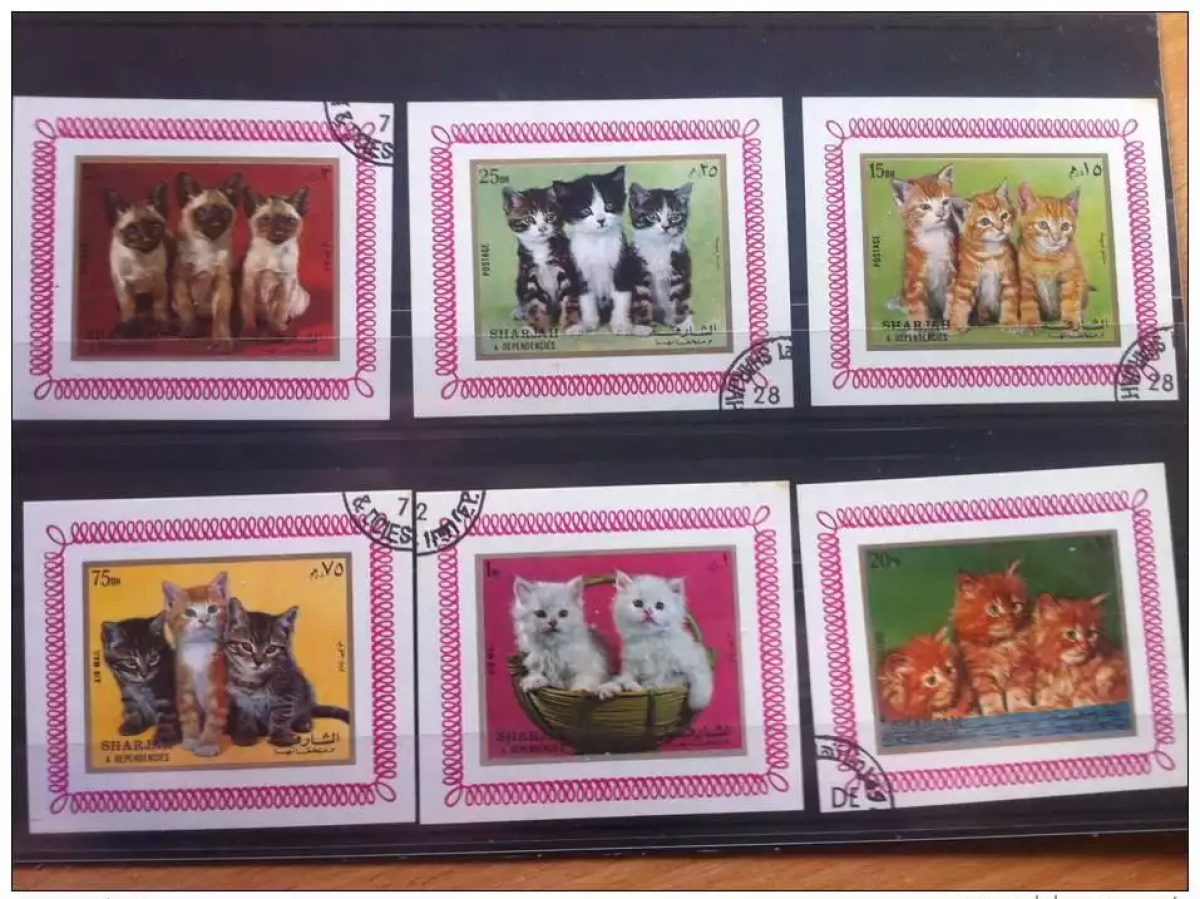 SHARJAH 6 Blocks KATZEN Gestempelt
