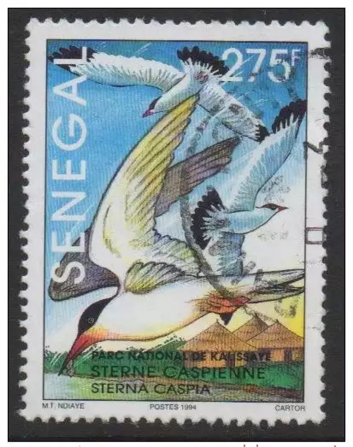 Sénégal 1994 Sterne Caspienne Kalissaye Vogel Oiseau Bird Yv. 1109 RARE