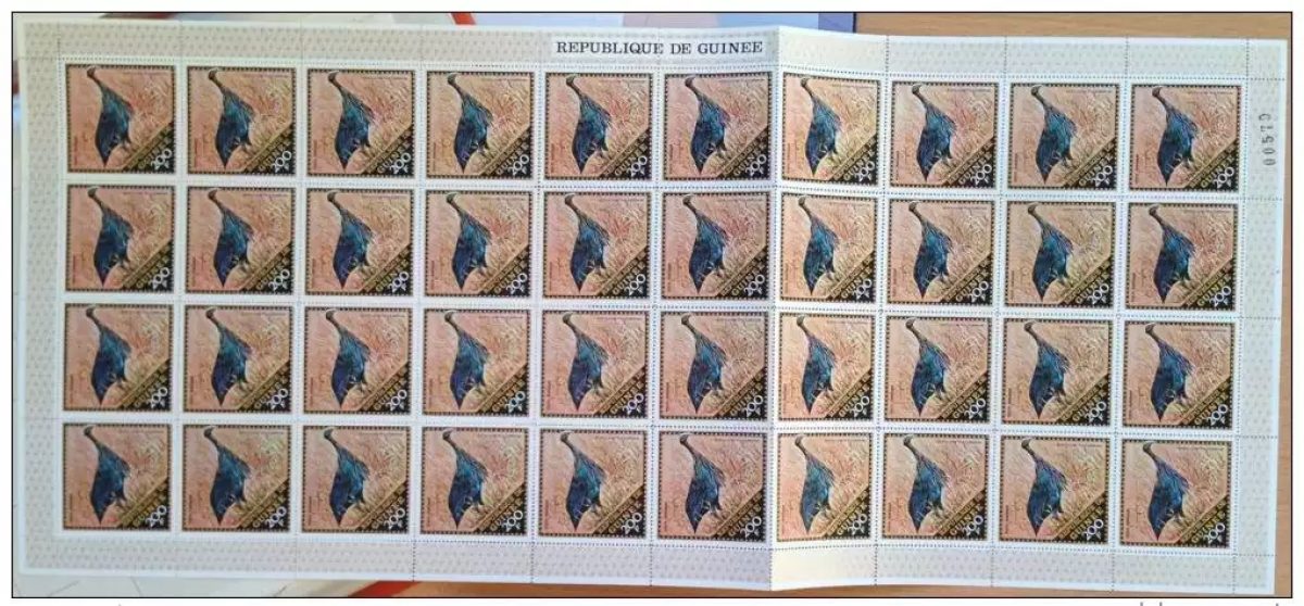 Guinea Mi. Flugpost 99 Luftpost Bogen Vogel Acryllium Vulturinum SELTEN ** MNH