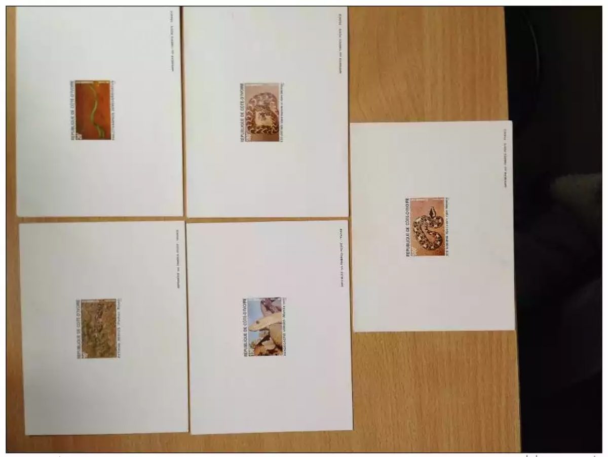 Elfenbeinküste 1995 Mi. 1135-1139 Reptilien Schlangen Luxusprobe