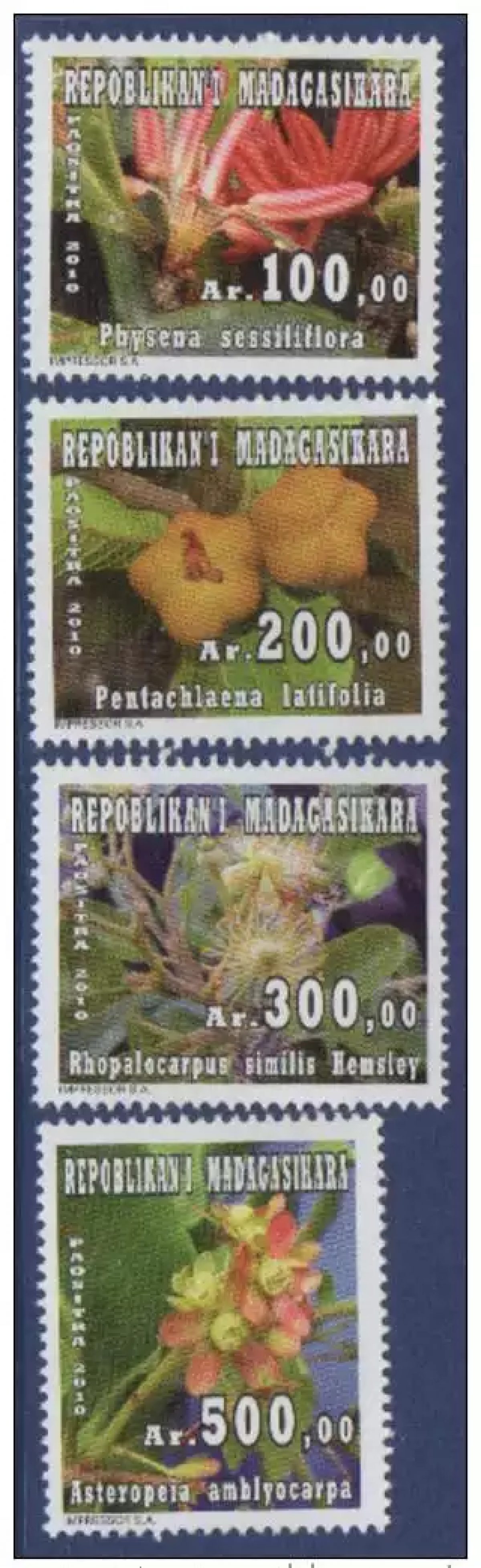Madagascar 2010 Fleurs Flowers Physena Sessiliflora Asteropeia Amblyocarpa MNH**