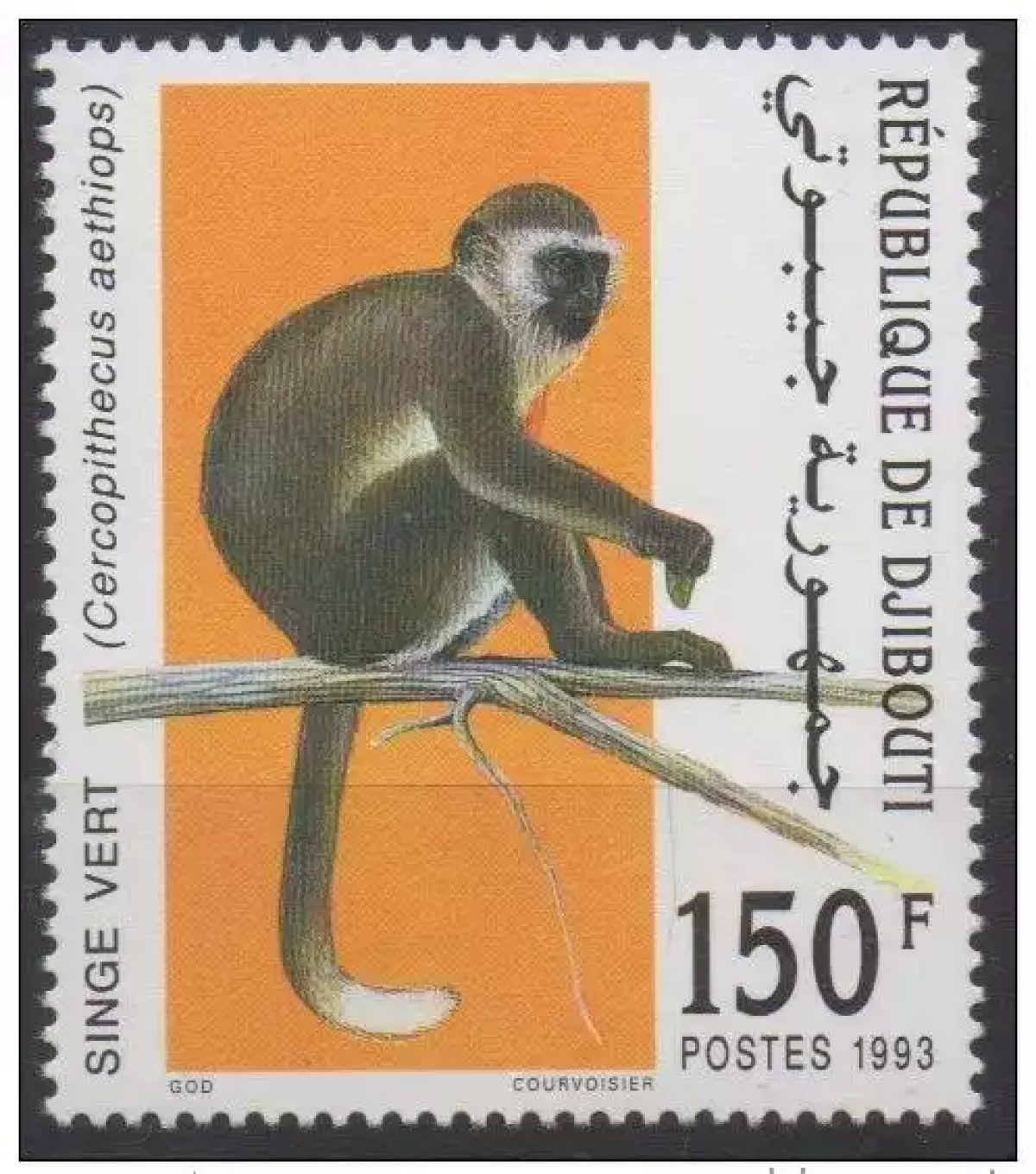 Djibouti 1993 Mi. 582 ** neuf MNH Singe Vert Monkey Affe Faune Fauna RARE !
