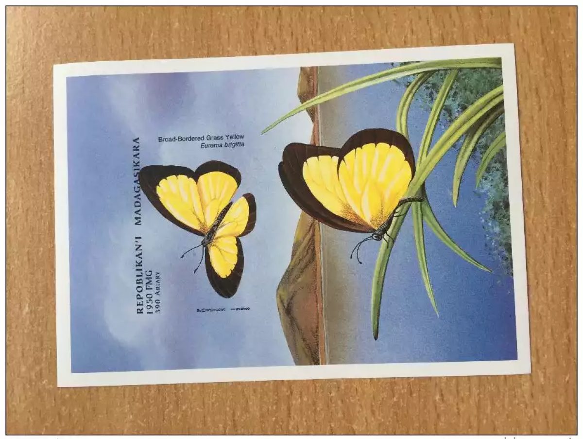 Madagascar 1998 Mi. Bl. 285 Fauna Papillons **MNH IMPERF NON DENTELES