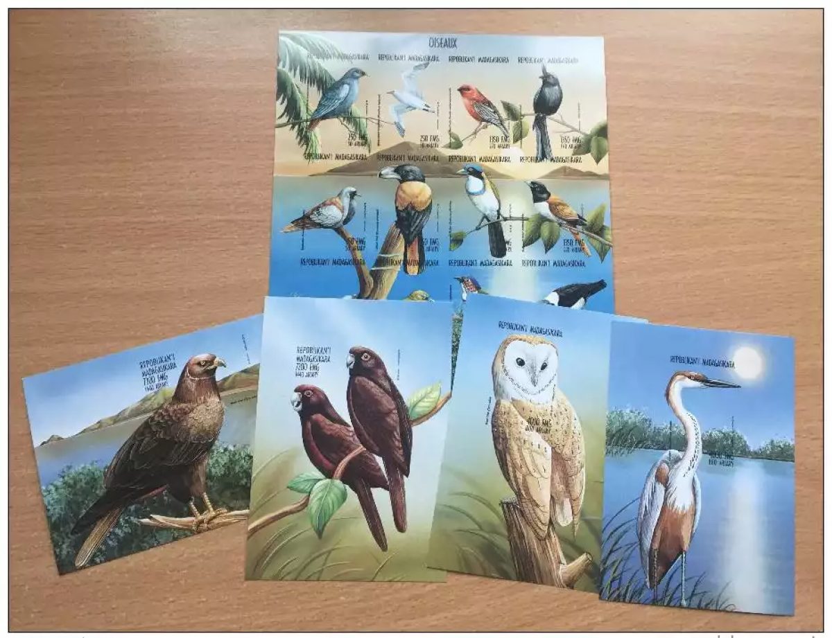 Madagascar 1999 Mi. 2133-44 Bl. 288-291I Fauna bird of prey owl **MNHIMPERF