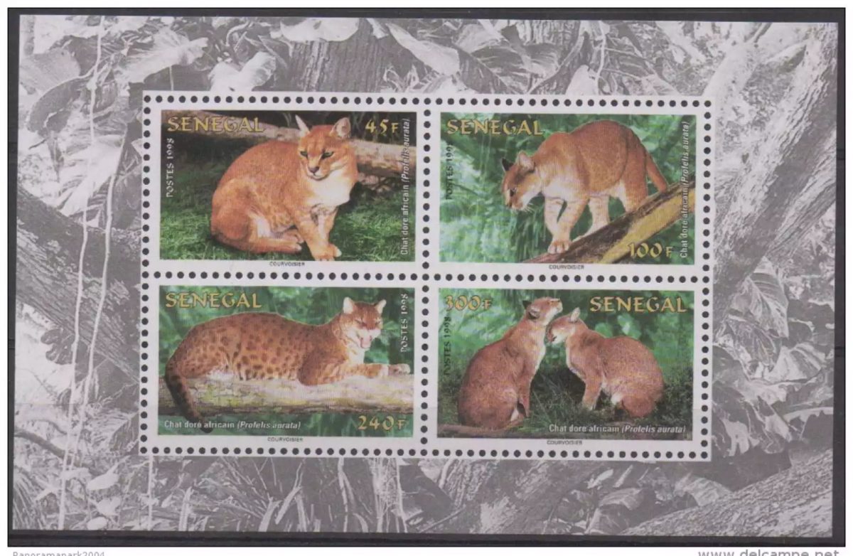 Senegal 1997 WWF Golden Cat Fauna Mi. Block 76 RARE MNH