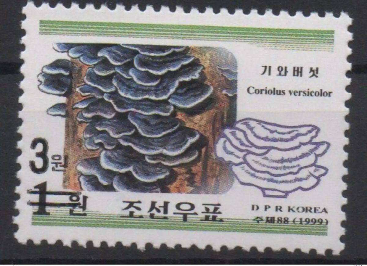 Korea 2006 Mi. 5070 Overprint Flora Mushroom Pilz MNH RARE