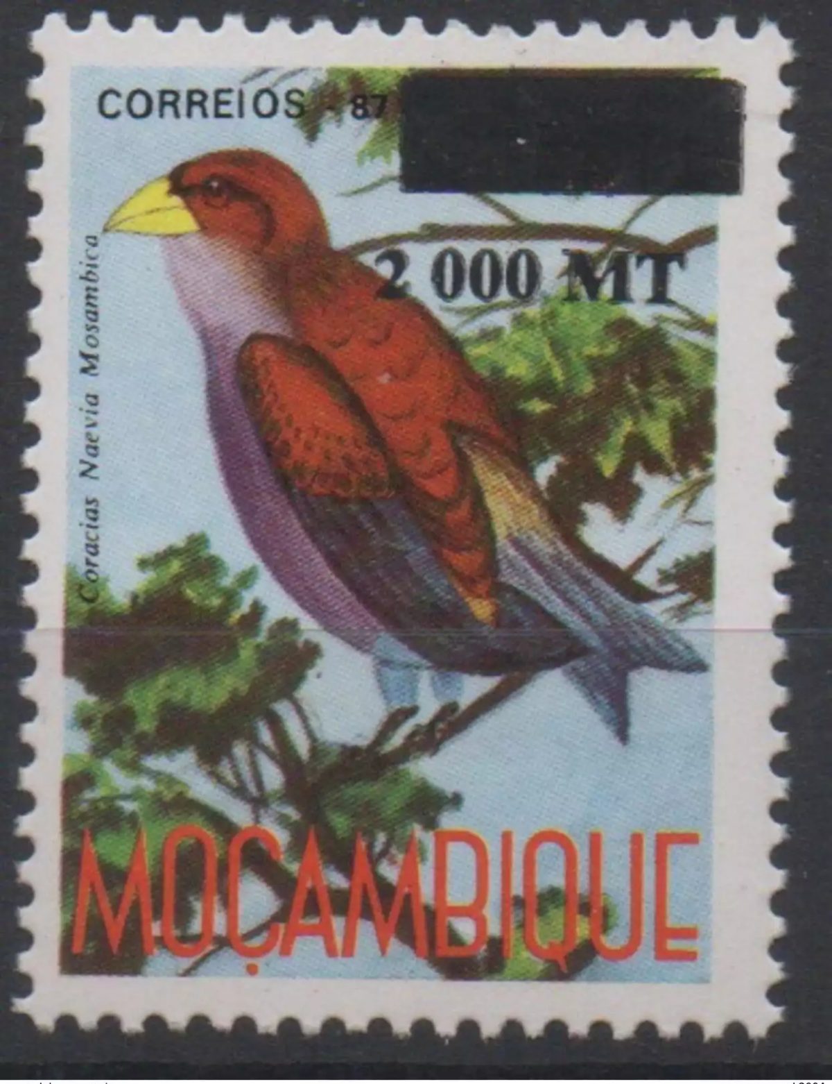 Mozambique Mosambik Moçambique 1998 Bird Vogel Oiseau Overprint Mi.? MNH  scarce