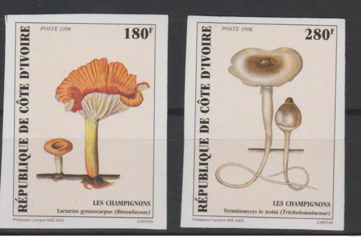 Côte d'Ivoire  1998 IMPERF NON DENTELES Champignons Mushrooms Pilze MNH**