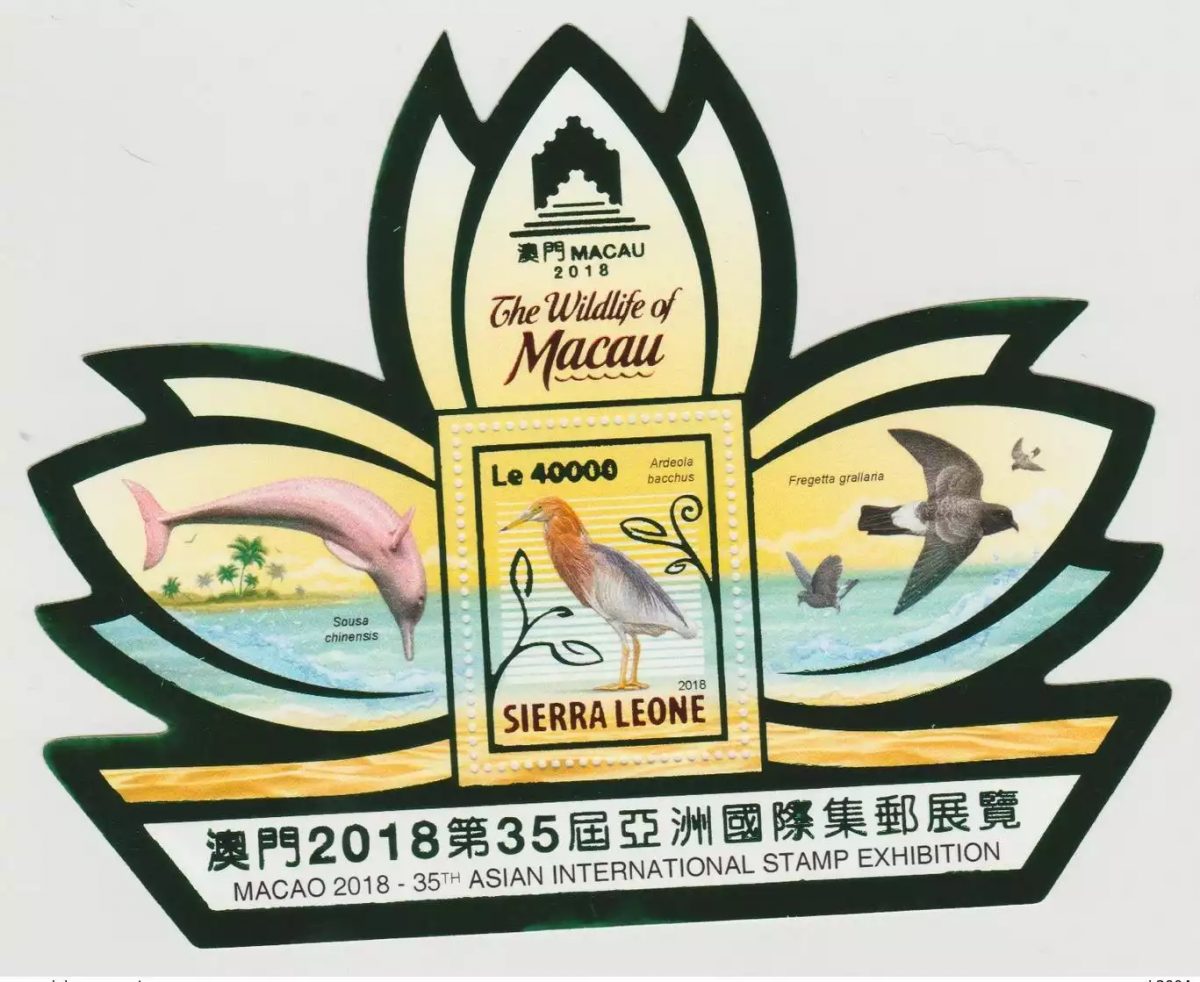 Sierra Leone 2018 Mi. Bl. ? Foil Wildlife of Macau Faune Dauphin birds Oiseaux