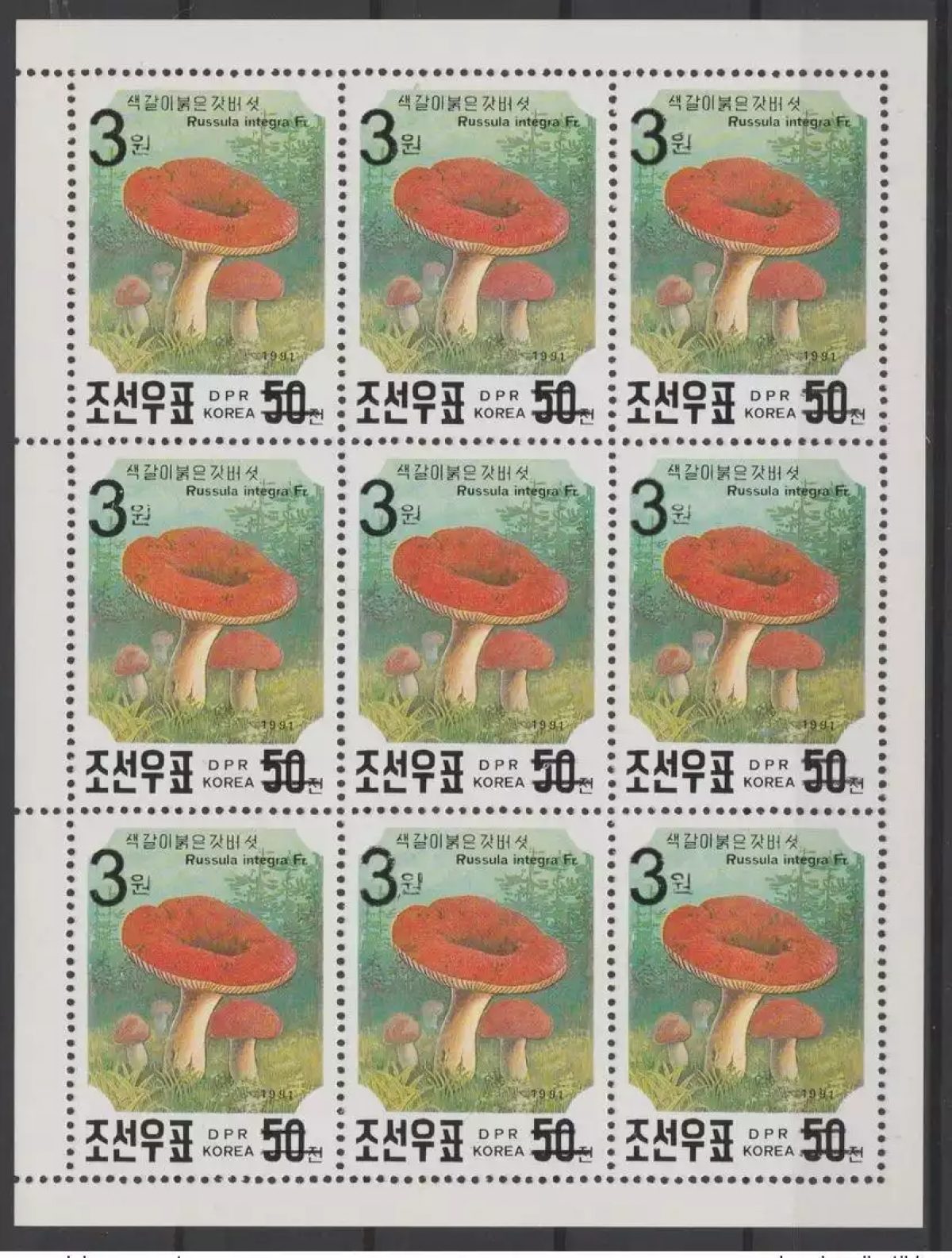 Corée 2006 Mi. 5052 sheet OVERPRINT flora Mushroom Champignon Pilz MNH RARE