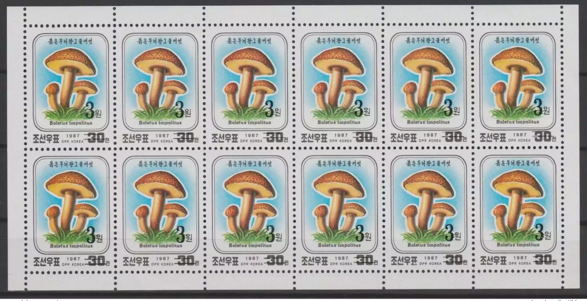 Corée 2006 Mi. 5047 Minisheet OVERPRINT flora Mushroom Champignon Pilz MNH RARE
