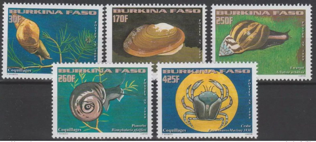Burkina Faso 2000 Mi. 1779 - 1783 Coquillages Shells Escargots Faune 5 val. **