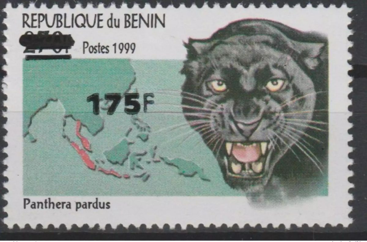 Benin 2005 Mi. 1392 Panthera Pardus Wildlife Panther Map Overloaded MNH**