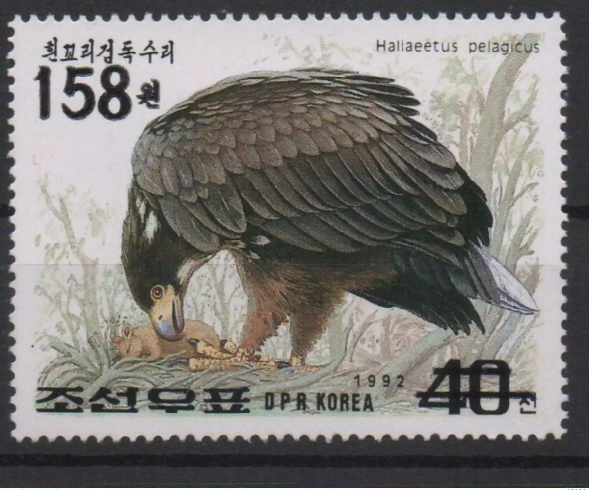 Korea 2006 Mi. 5120 OVERPRINT wildlife Bird prey Birds Vogel Eagle Raptor