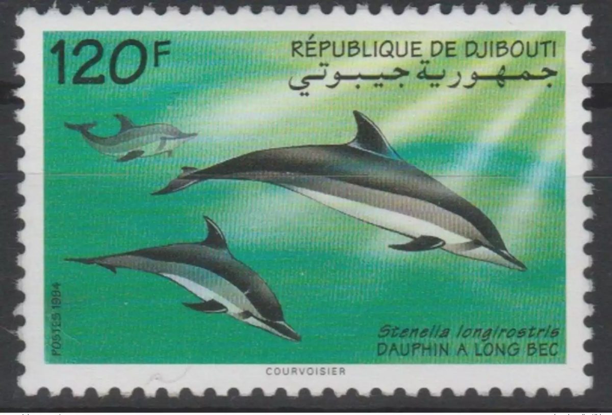 Djibouti 1994 Mi. 598 Fauna Long-beaked Common Dolphin