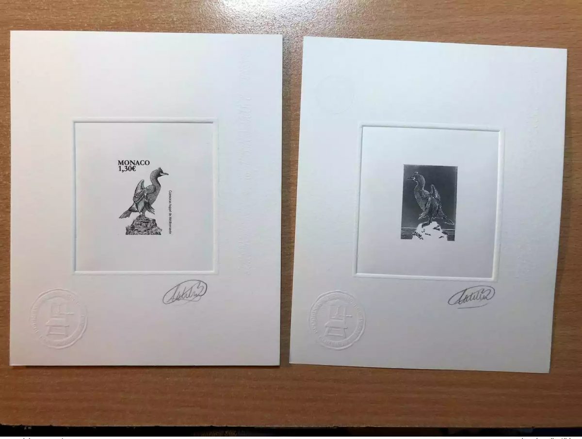 Monaco 2018 YT 3143 Epreuve d'artiste Oiseau Vogel Cormoran Huppé Faune Fauna