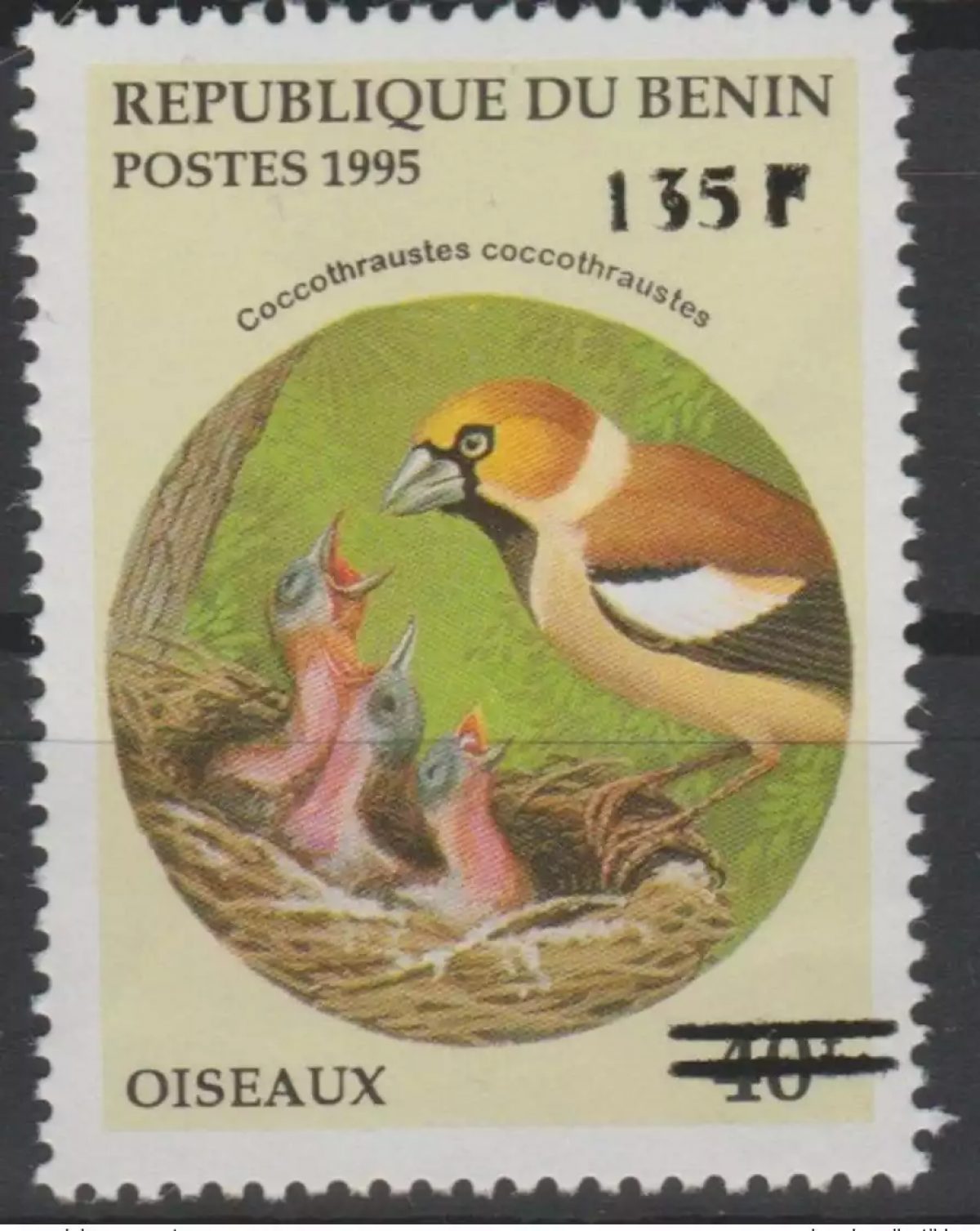 Bénin 2000 Mi. 1235 Coccothraustes Birds Oiseaux Vögel faune Fauna surchargé MNH