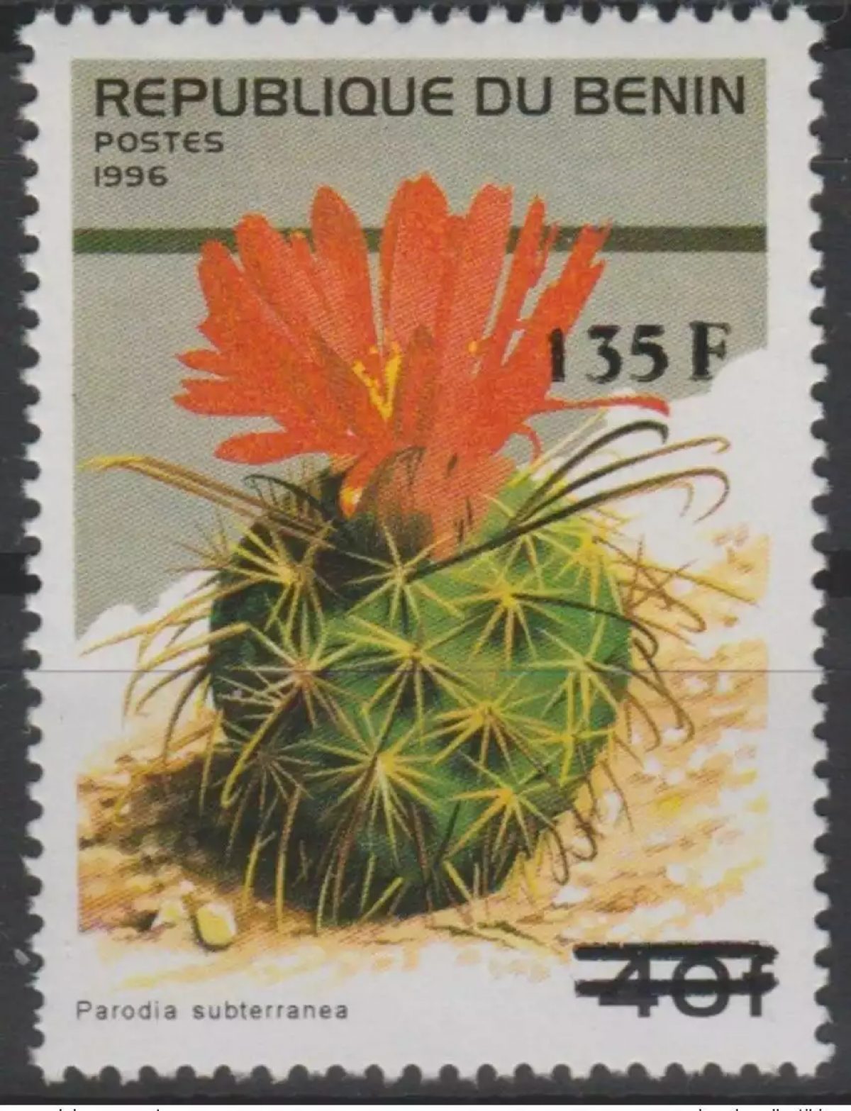 Benin 2000 Mi. 1245 Flora Parodia Subterranea Cactus overloaded plant MNH**