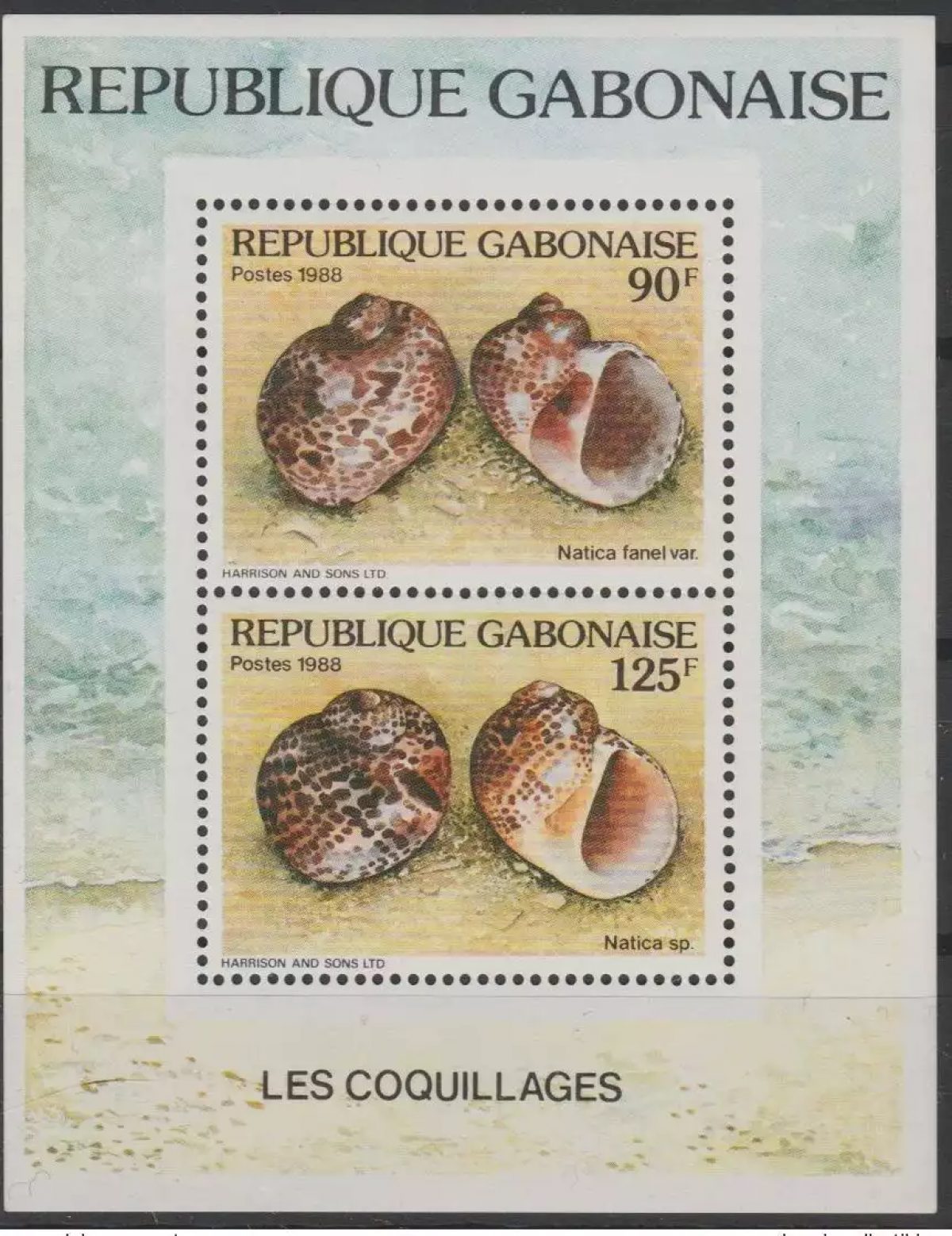 Gabon Gabun 1988 Mi. bl. A60 The Shells Meeresschnecken RARE!