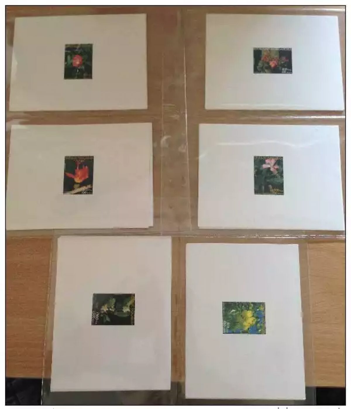 Madagascar 2003 Mi. 2598-2603 Luxury Proof Flowers Flora Blumen