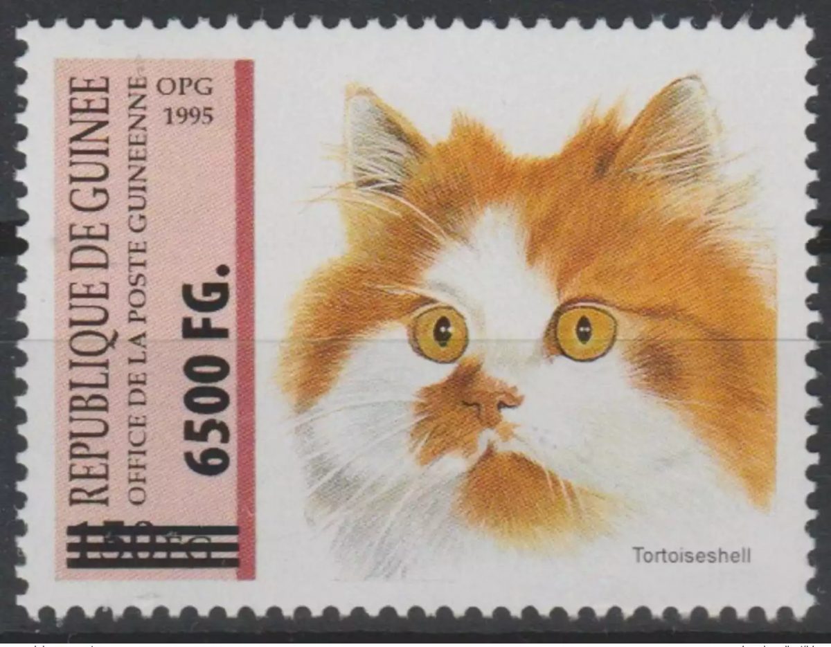 Guinea 2009 Mi. 6753 overloaded Overprint Cat Katze Animal Fauna