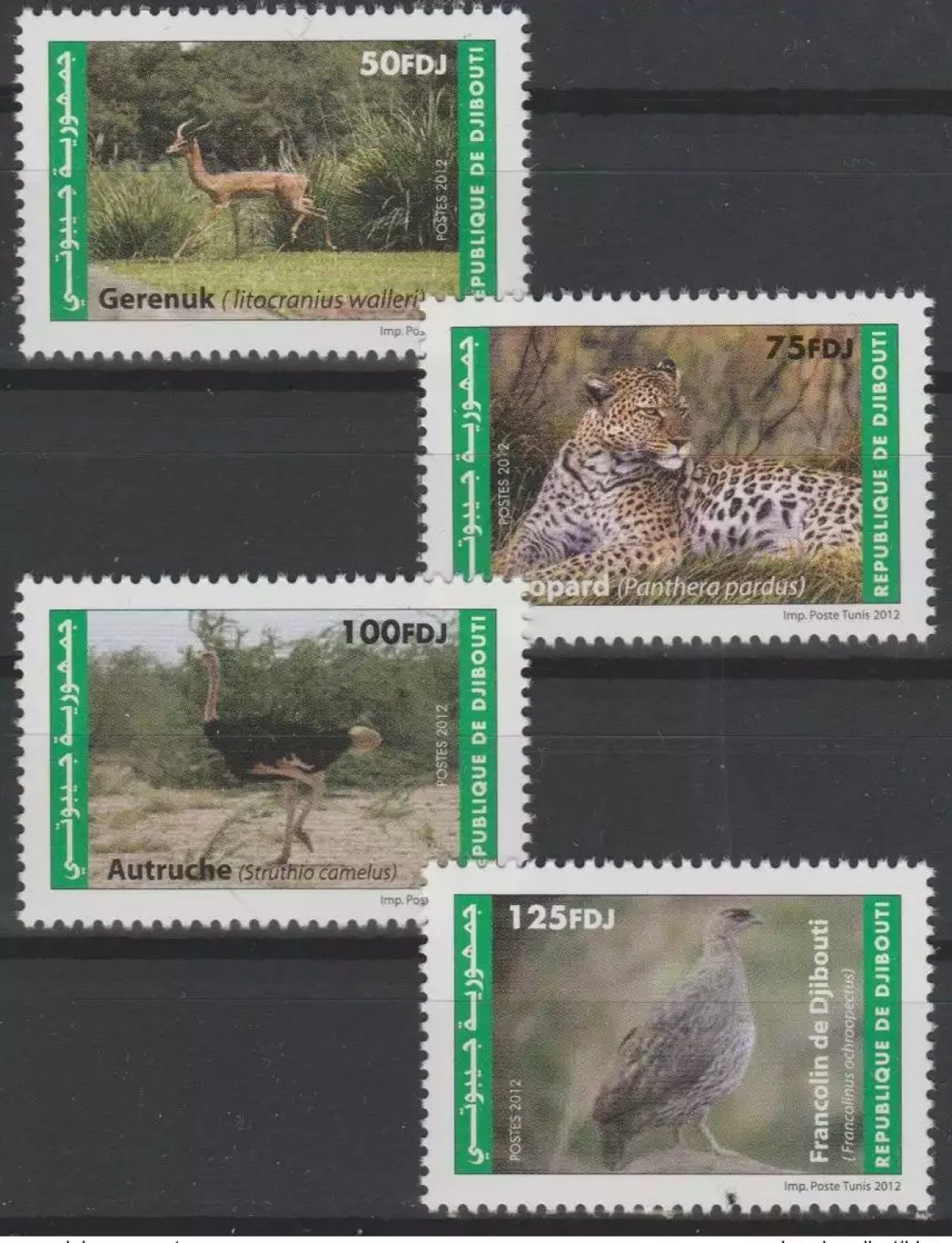 Djibouti2012 Mi. 815 818 ** nine MNH Fauna Leopard Panther Ostrich Bird