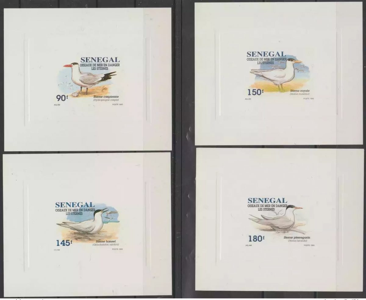 Sénégal 1993 / 1995 Mi. 1394 - 1397 Epreuve de luxe Oiseaux Mer Danger Sternes