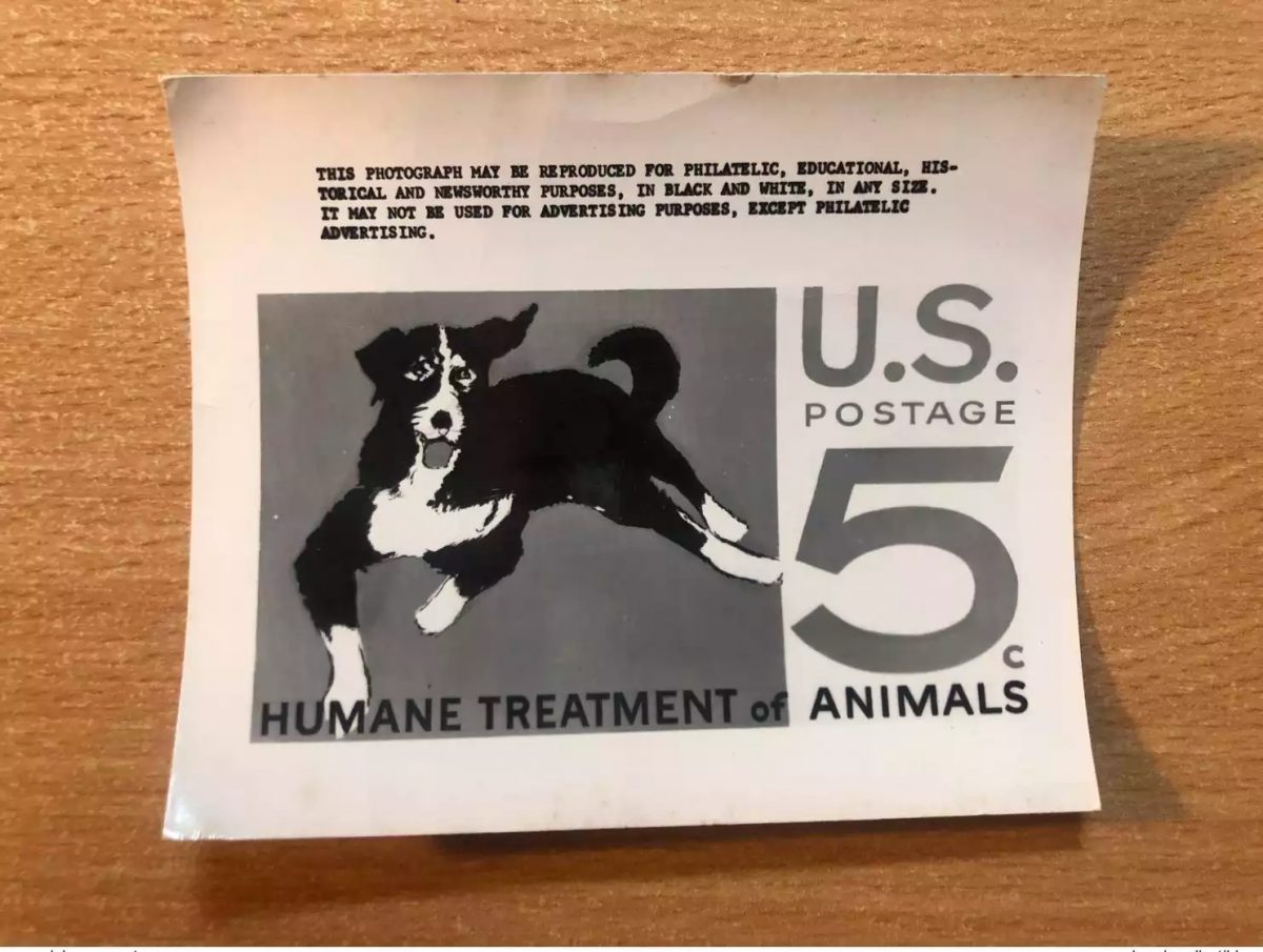 USA United States USPS -Publicity Essay Kodak Humane Treatmant of Animals Dog