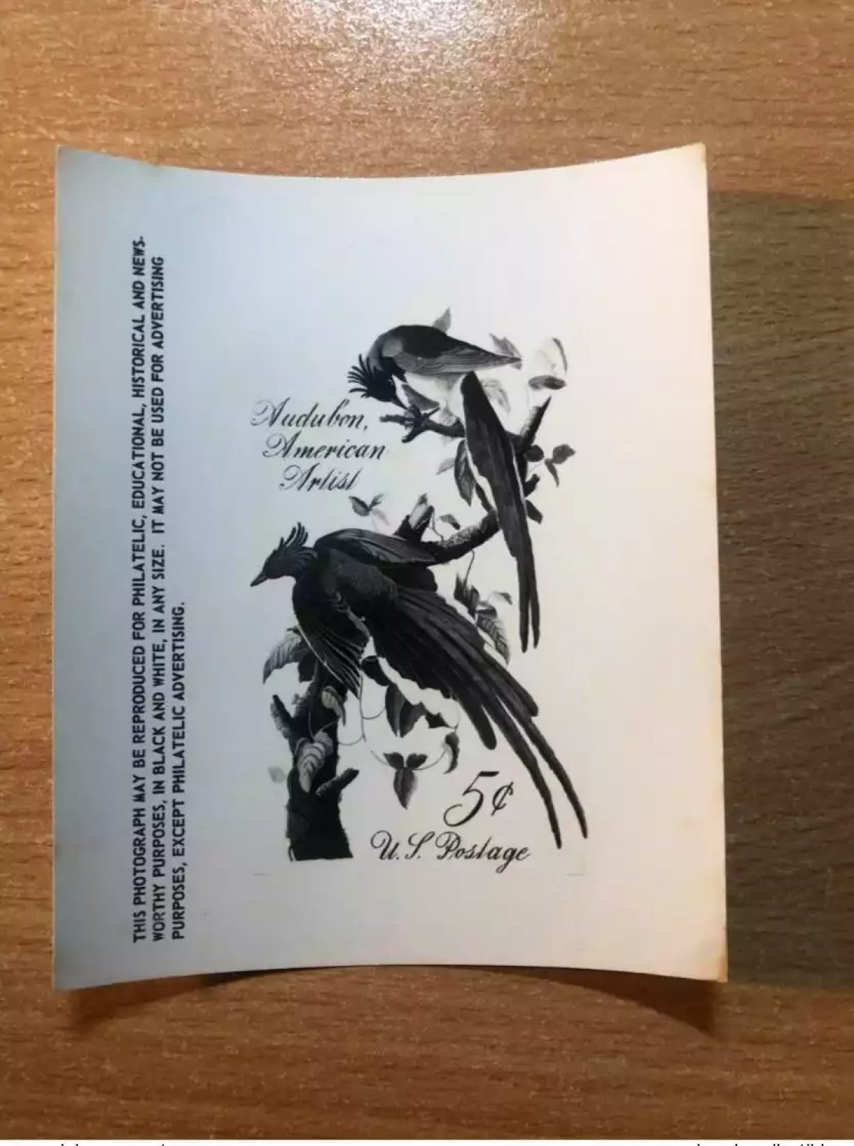 USA United States USPS -Publicity Essay Kodak Audubon American Artist Birds