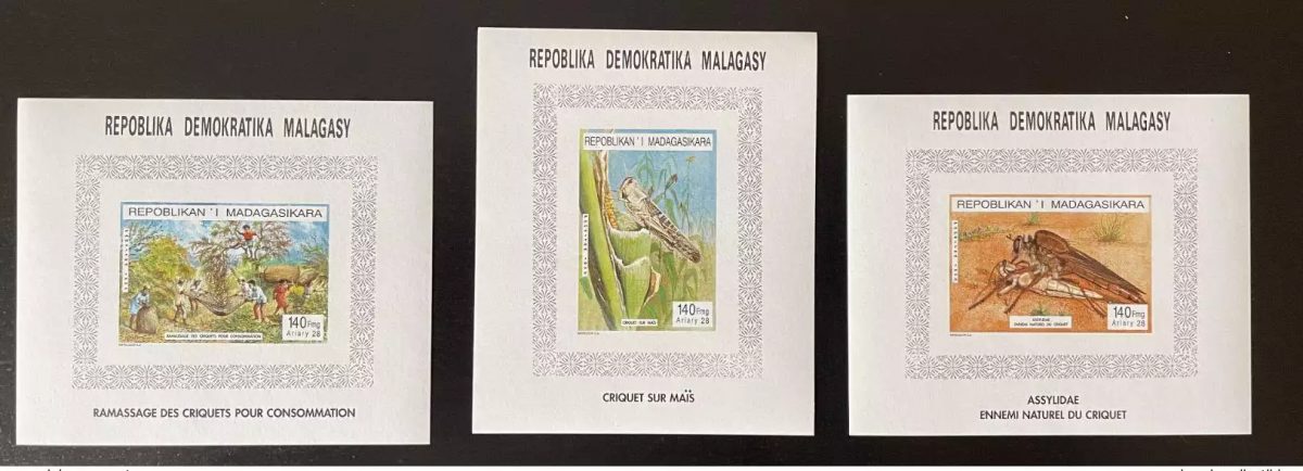 Madagascar 1995 Mi. Bl. A-C264 Insectes Criquets Heuschrecken Grasshopper faune
