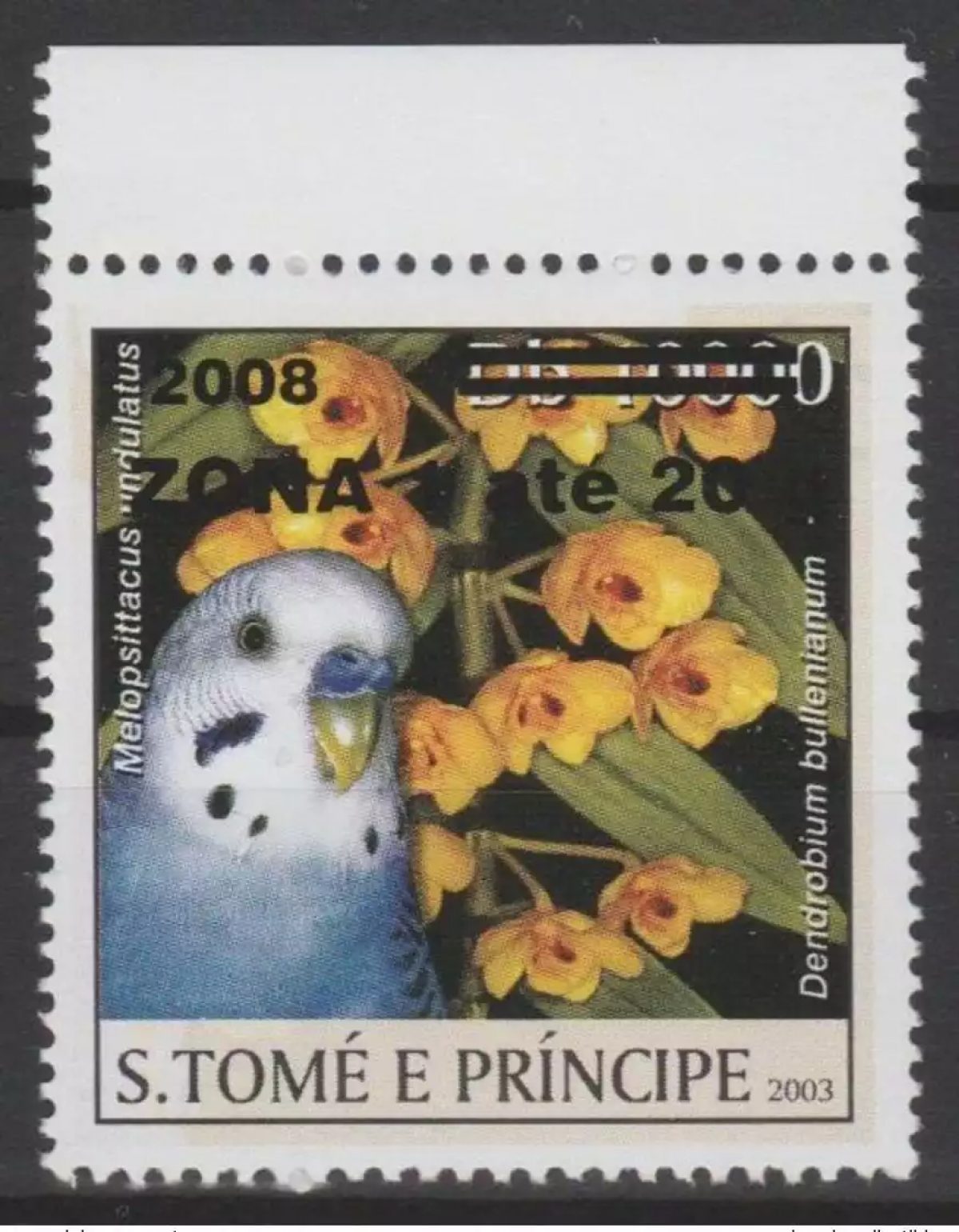São Tomé & Príncipe 2008/2009 Mi. 3983I Papagei Vögel 1 Wert Fauna