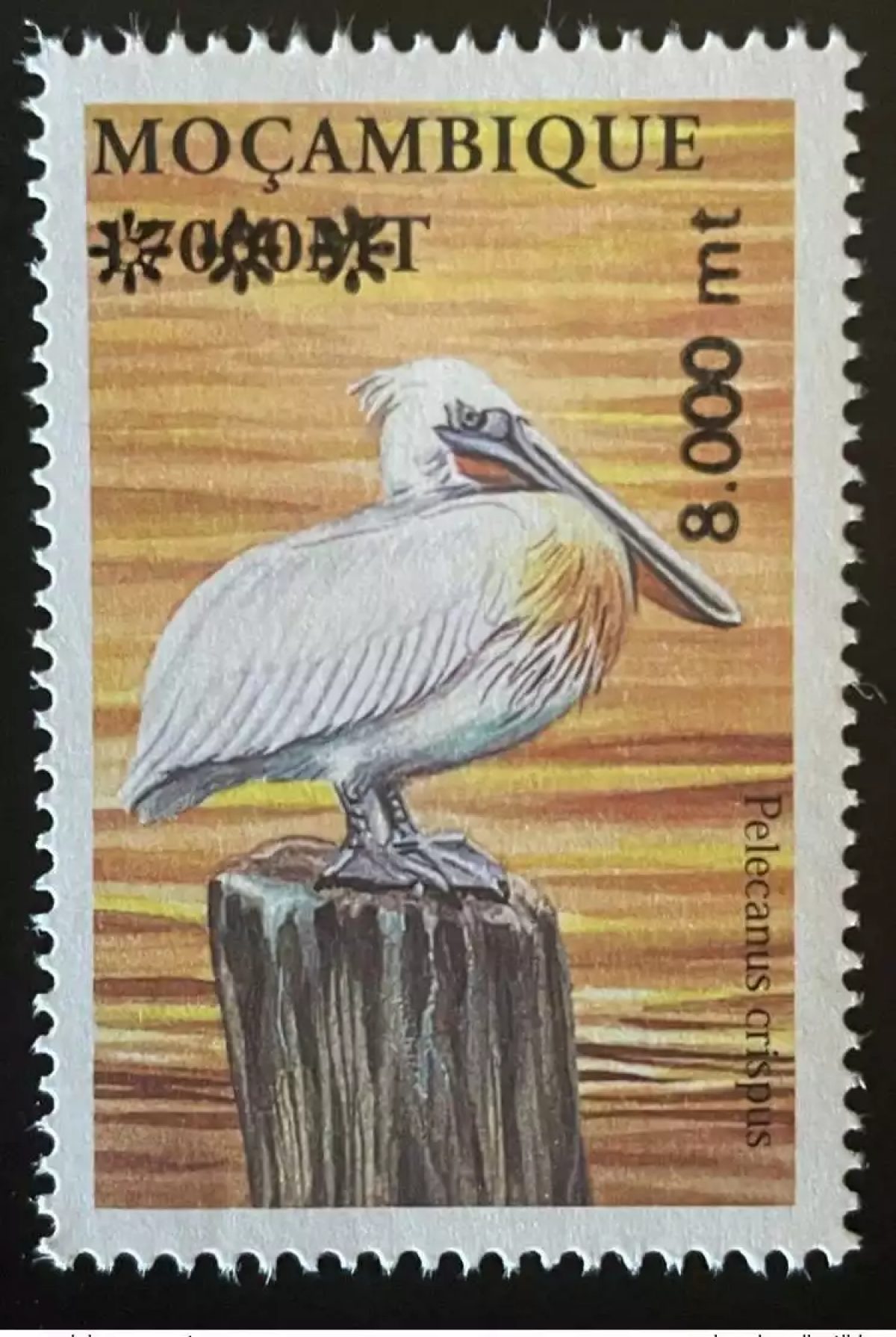 Mozambique 2002 / 2005 Mi. 2850  -Bird Oiseau Pelecanus cripus Surchargé RARE