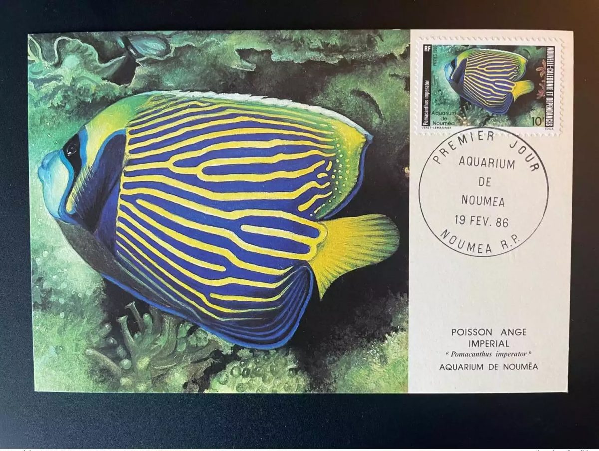 New Caledonia 1986 Maxi Map Aquarium of Nouméa Imperial Angelfish