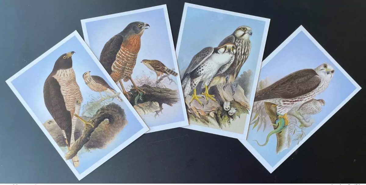 Liberia 2022 Mi. ? Entier  Bird of prey Rapace Greifvogel Faucon Falcon Falco
