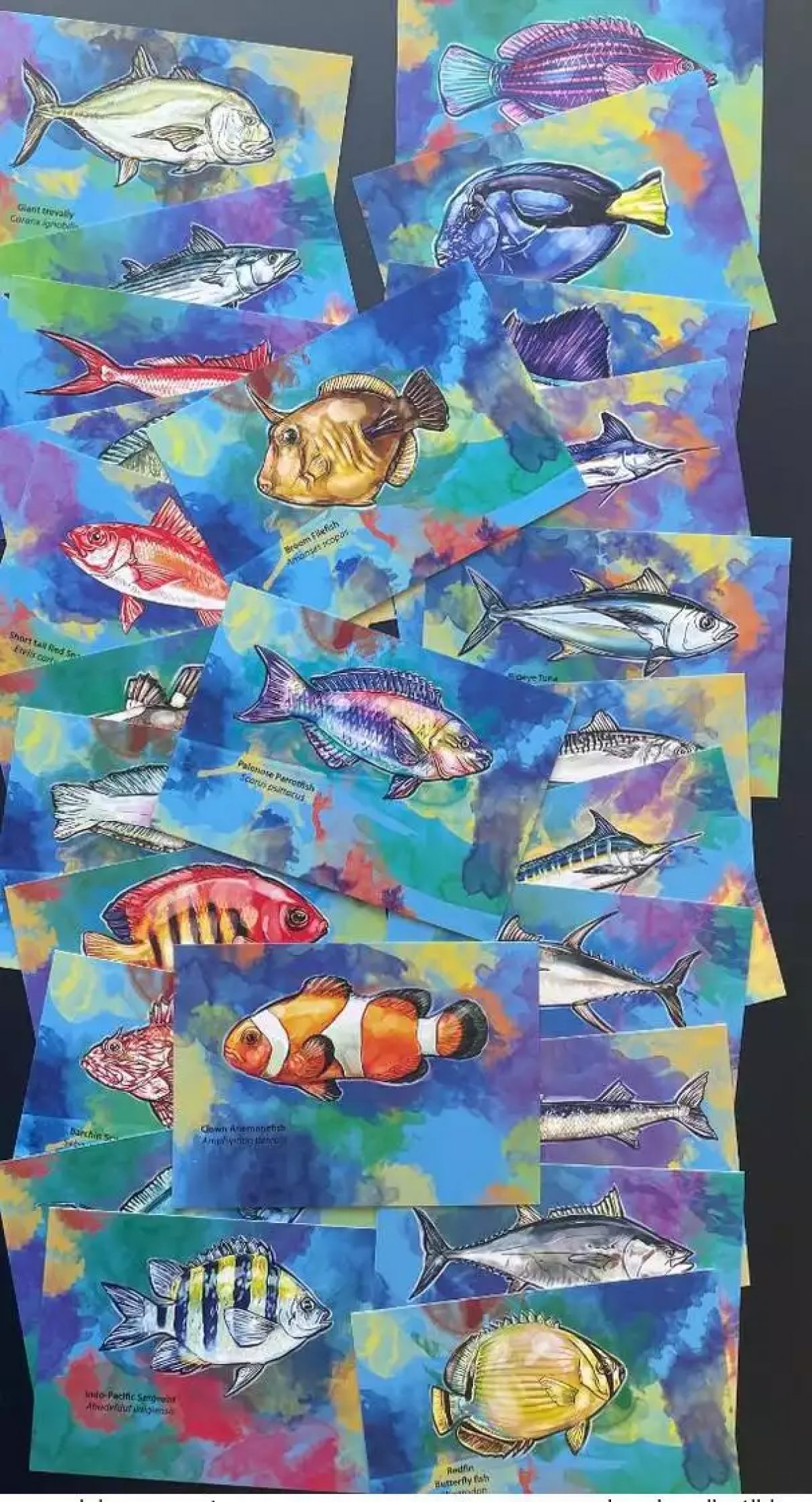 Solomon Islands 2013 Mi. 2107 - 2131 Entier Fische Fishes Poissons faune marine
