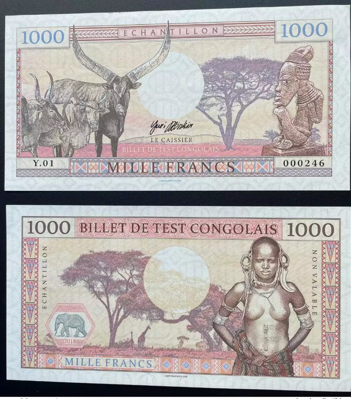 2018 Matej Gabris 1000 Francs 'Y' Billet Test Congo Elephant Girafe UNC ESSAY