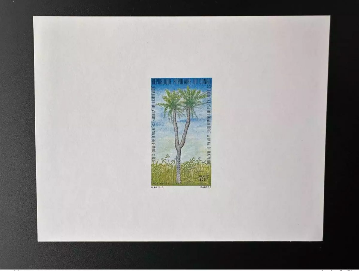Congo 1981 Mi. 811 Luxury Proof Elaeis Guineensis Palm Tree Flora