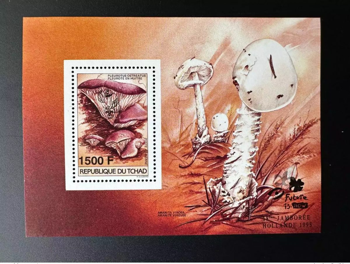 Tchad 1995 Mi. Bl. 244A Champignons Mushrooms Pilze Jamboree Scouts Hollande