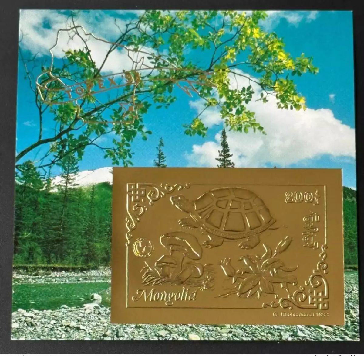 Mongolie 1993 Mi. Bl. 228 Gold or TOPEX '93 Tortue  Turtle Champignon Fleur
