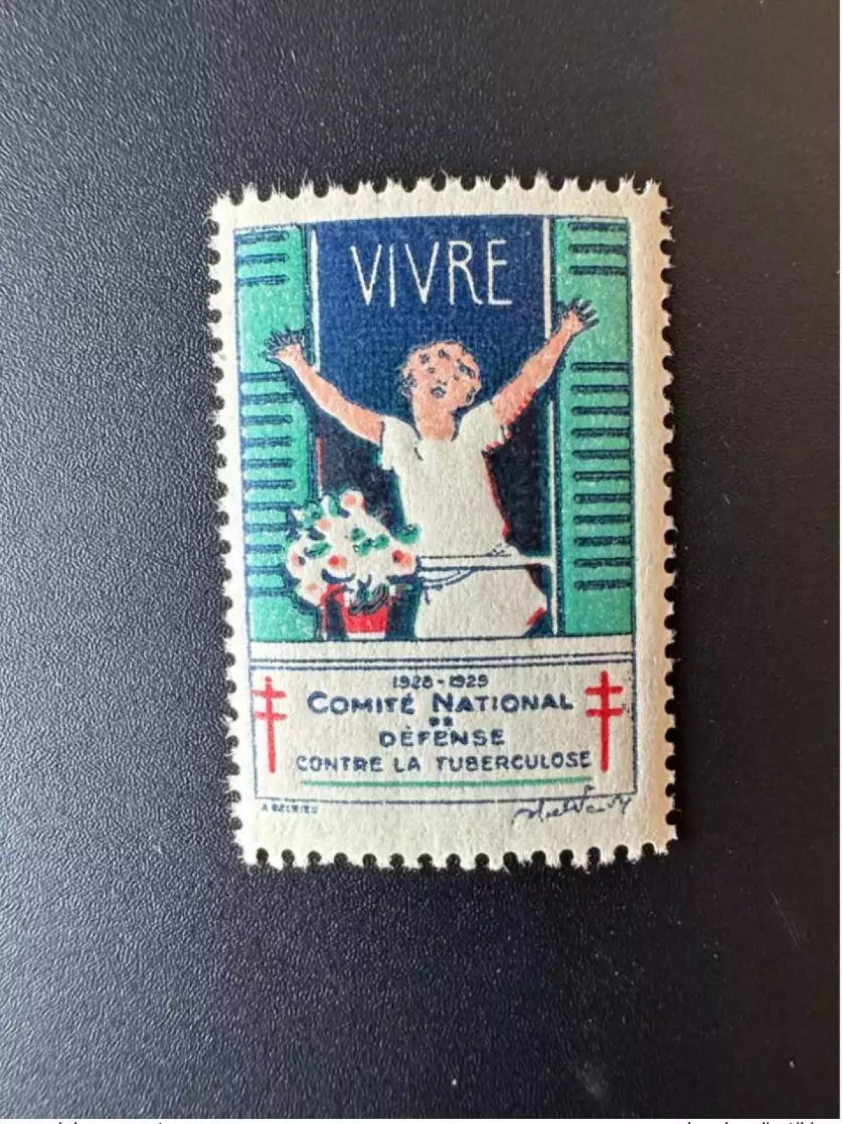 France 1928 / 1929 Antituberculeux Tuberculose tuberculosis Tuberkulose Vivre