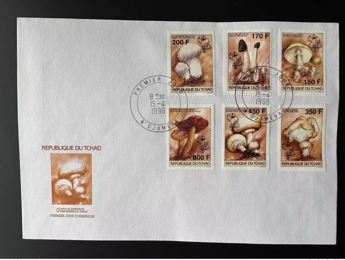 Tchad 1996 Mi. 1265 - 1270 FDC 1er jour Champignons Mushrooms Scouts scoutisme