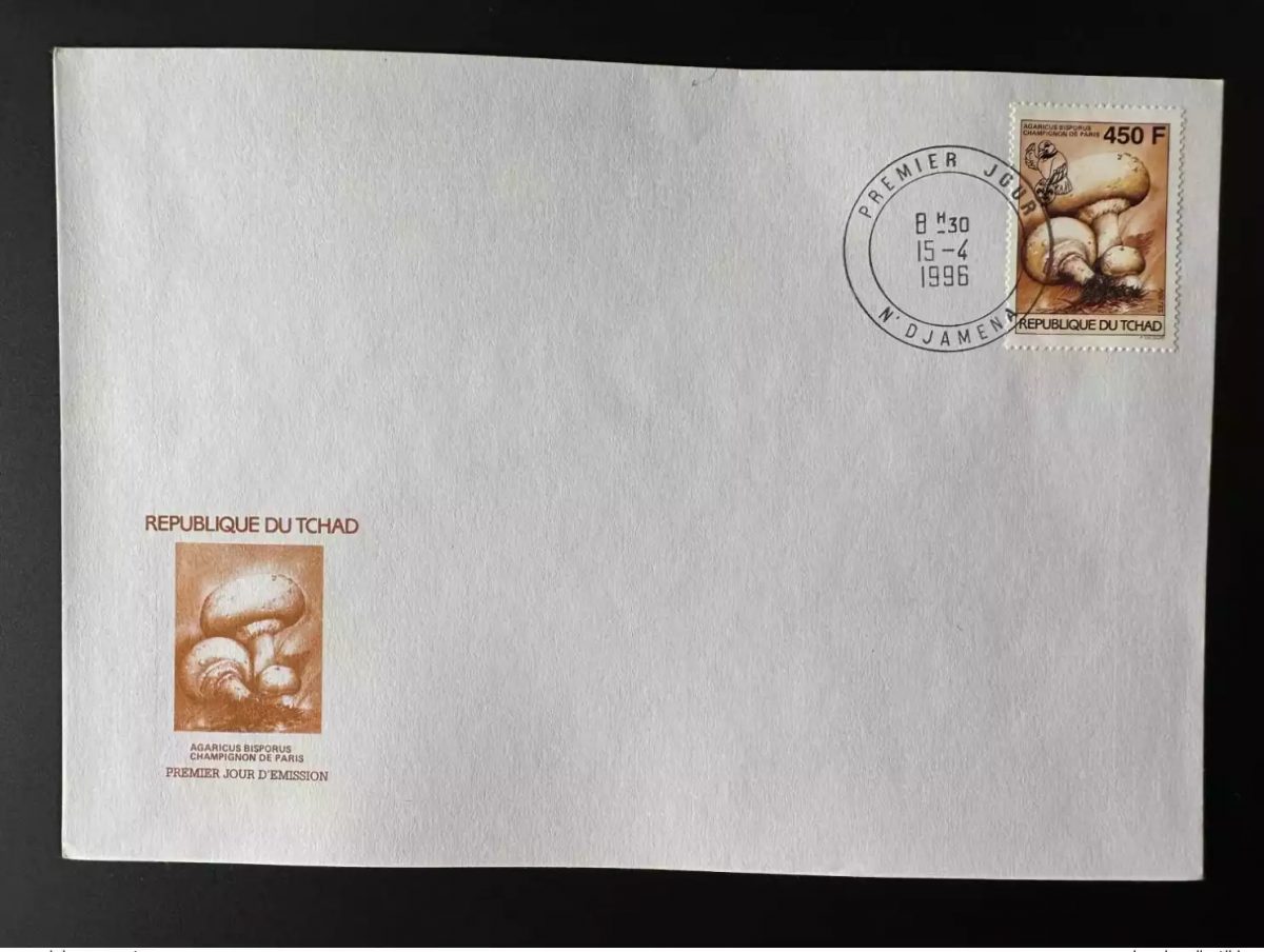Tchad 1996 Mi. 1269 450 F FDC 1er jour Champignons Mushrooms Scouts Scoutisme