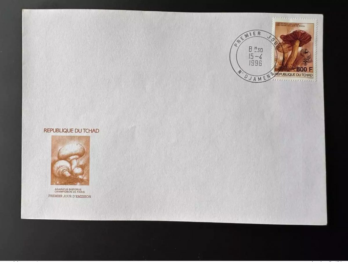 Tchad 1996 Mi. 1270 800 F FDC 1er jour Champignons Mushrooms Pilze Scoutisme
