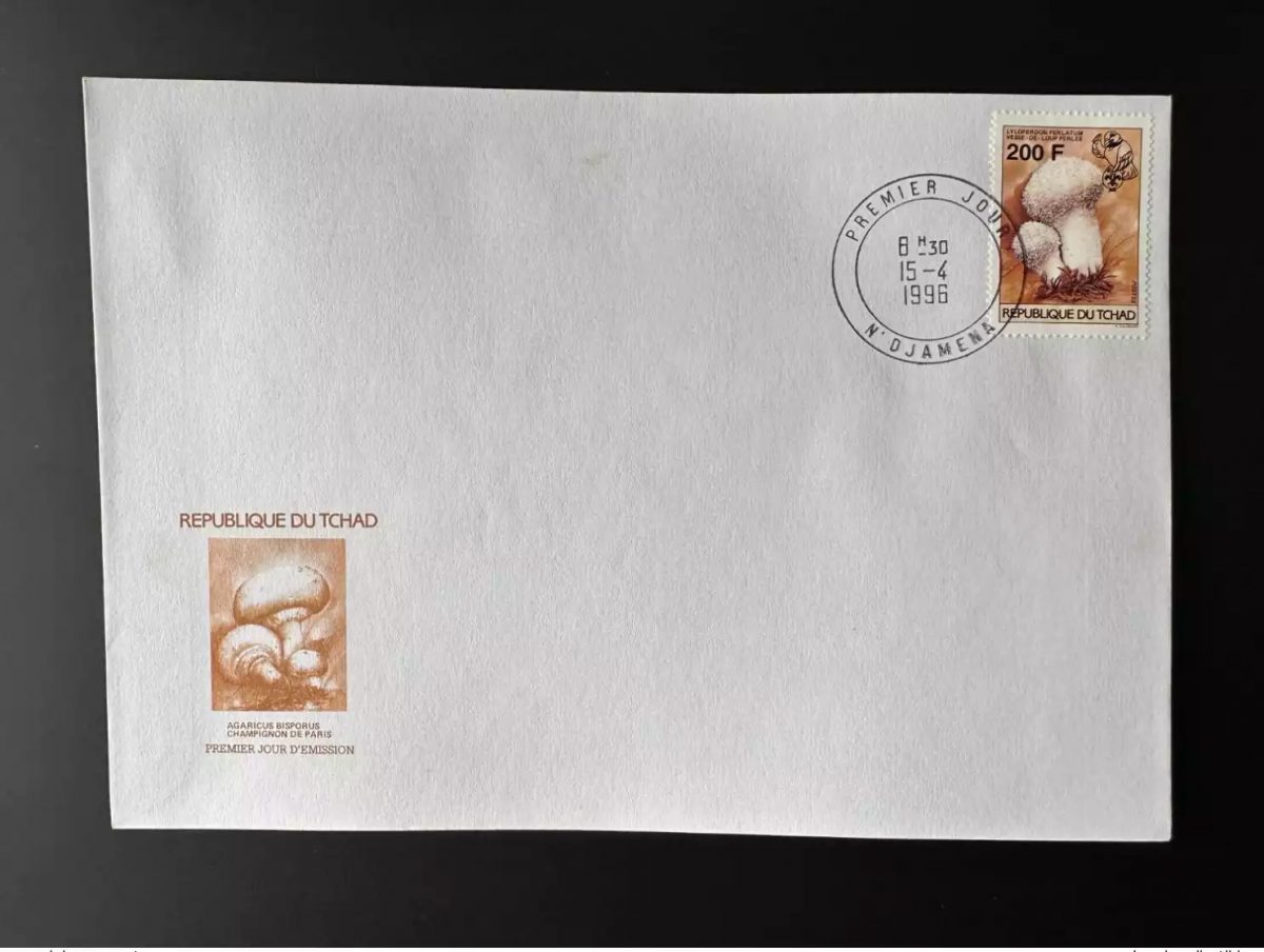 Tchad 1996 Mi. 1267 200 F FDC 1er jour Champignons Mushrooms Scouts Scoutisme