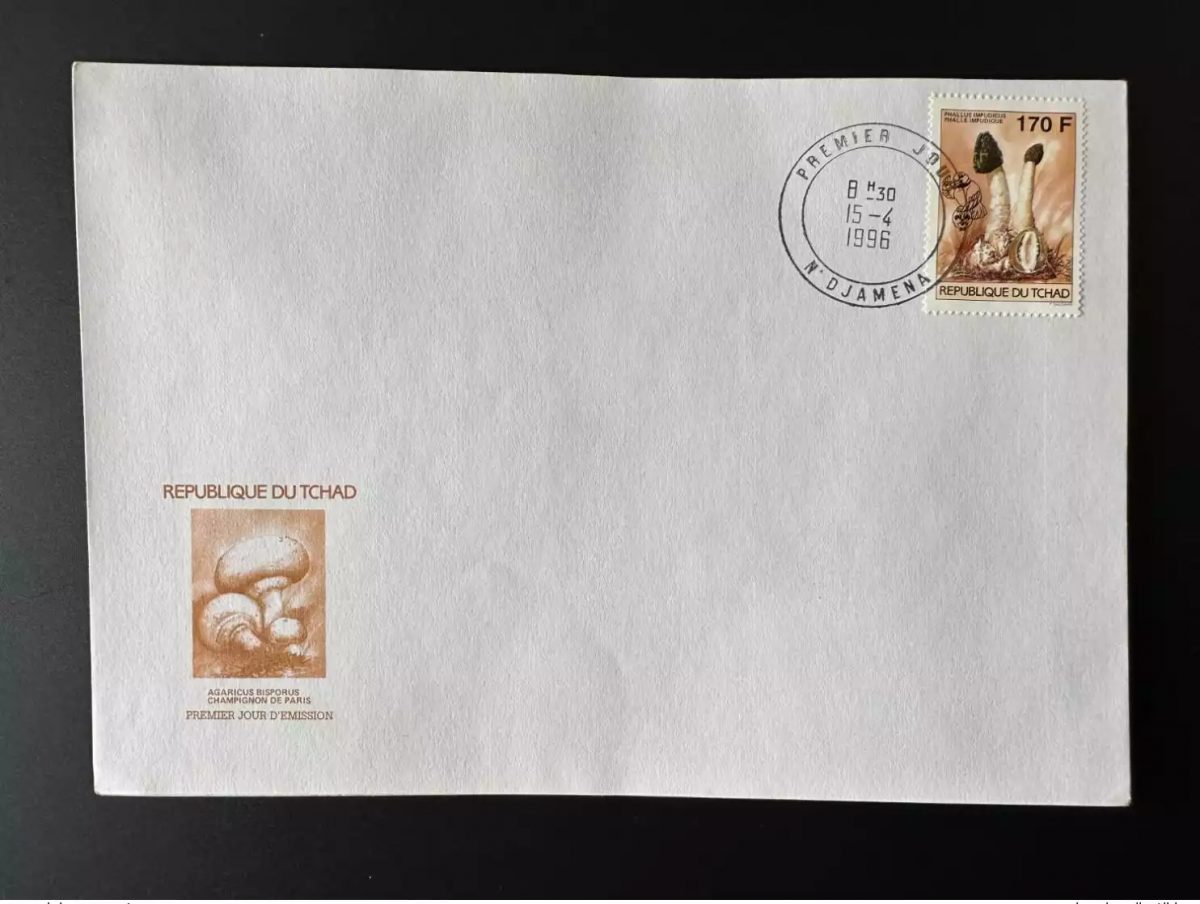 Tchad 1996 Mi. 1266 170 F FDC 1er jour Champignons Mushrooms Pilze Scoutisme