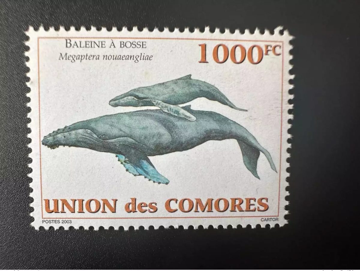 Comores 2003 Mi. 1794 Baleine à bosse Whale Megaptera nouaeangline Faune Marine