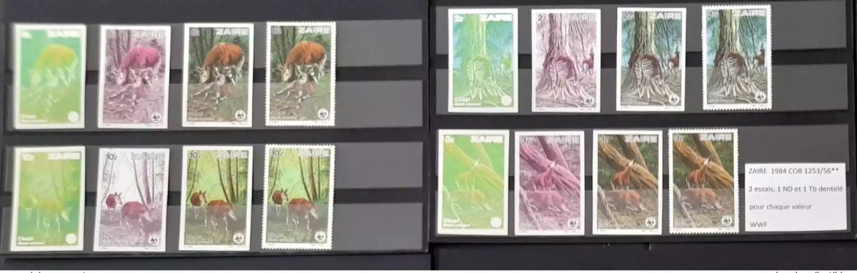 Congo Zaire 1984 COB 1253 - 1256 essais couleur IMPERF ND Okapi WWF faune Fauna