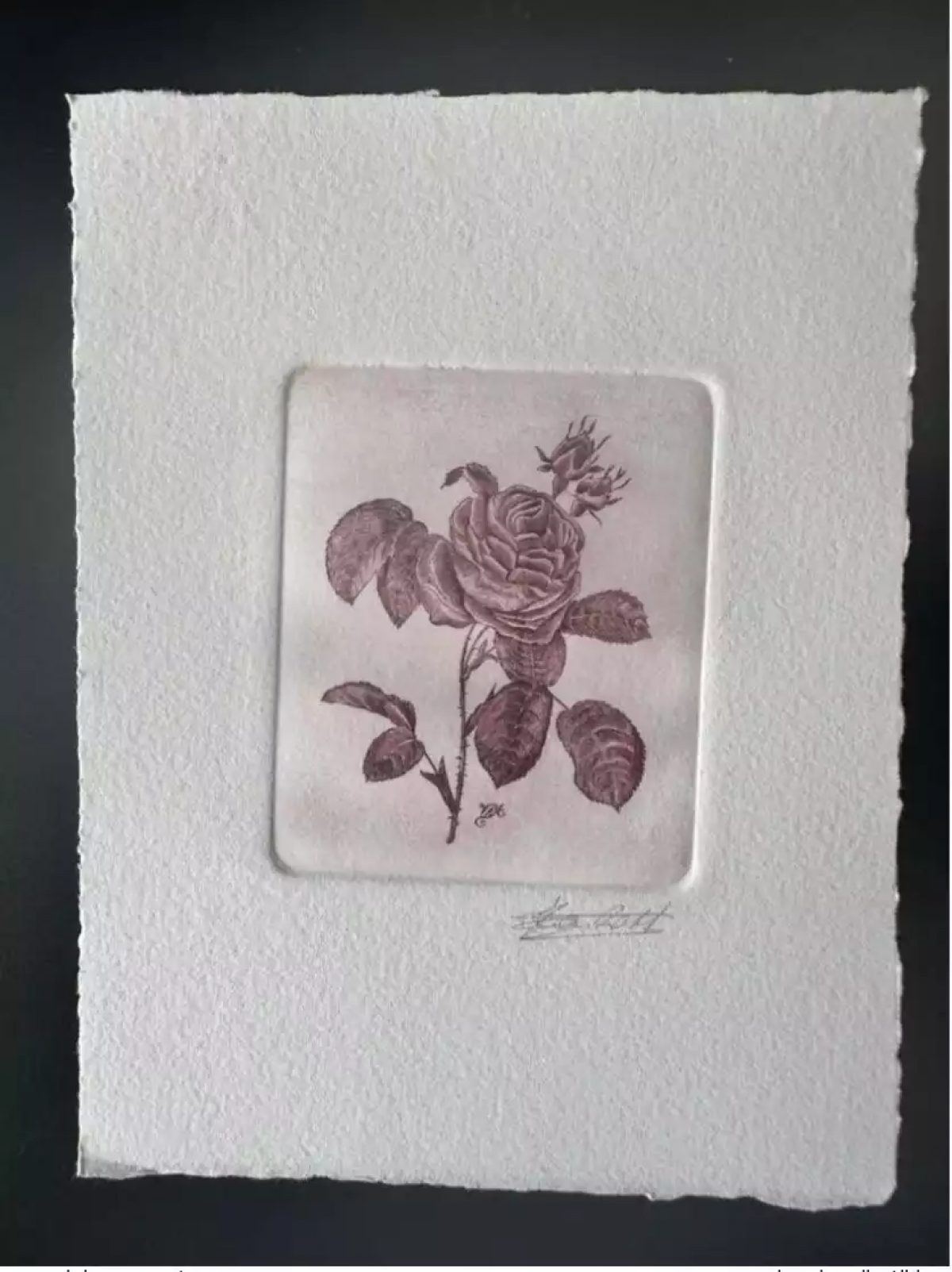 Belgium? COB? Artist's proof 1st day FDC Fleur Rose Pierre-Joseph RedoutéII