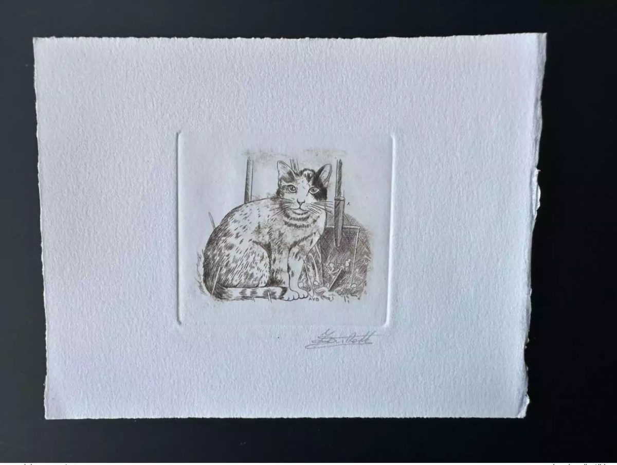 Belgique 1993 COB 2524 Epreuve d'artiste Proof 1er jour FDC Chat Carnet MH brun